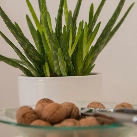 Appartamento Padrenostro