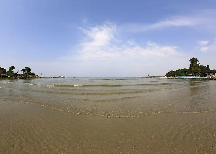 Lejlighed Padrenostro